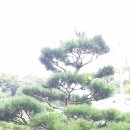 소사농원 이미지