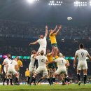 공과 막대기 이미지