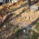 면목천로 어르신 쉼터 이미지