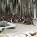 서울대공원 이미지