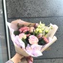 사파동295 이미지