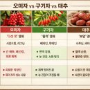 영주로1L | 오미자가 다섯가지 맛이 나는 진짜 이유와 효능 섭취방법