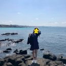 베리유