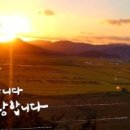 캘리그라피 이미지