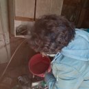 댕이멍이 | 2022년 2월 24일(목) 댕청한 영이의 미미네 힐링센터 방문 후기