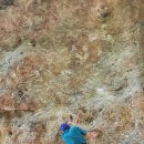 선운산 프로젝트 루트 모든 기록 🧗 | Seonunsan Climbing Project Routes 이미지