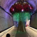 마사로 | 김해 아이와 가볼 만한 곳, 와인동굴 체험