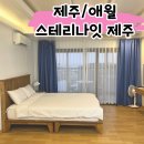 스테리나잇제주 | 제주애월가성비숙소 스테리나잇 제주 베이직 후기