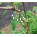 대보명가 이미지