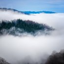나무인력 - 시흥시 서울대학로278번길 19-8 | 나무인력