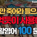 ＜어학공부＞이것만 죽어라 들으세요! 밥 먹듯 사용하는 생활영어 100문장 | 생활영어기초 | 기초생활영어회화 이미지