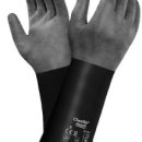 알파텍시스템 이미지