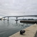 2026.06.24~26(수~금) 비금,도초,우이도 둘쨋날 /도초도~우이도 돈목선착장~상산봉(동이나물님) 이미지