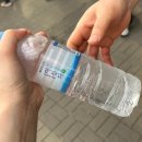 비부정 | 6.3 잠실 자유민주화운동 부정선거 재선거 올림픽공원 방문후기