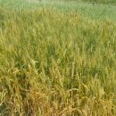 추억여행 이미지