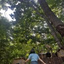 모현야영장 | 캠지기 모현야영장 솔직후기 - 얄라(YALA) 글램핑