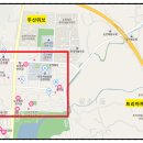 신대지약국 네이버블로그
