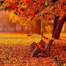 (주)블랙비어드 이미지