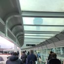 주식회사 제주알프스렌트카 | 제주도 렌터카 예약 돌하루팡 알프스렌터카 내돈내산 이용후기