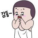 윈윈종합관리 이미지