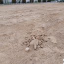 칠원중학교 이미지