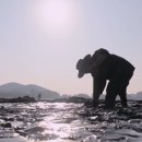 시장식당 이미지