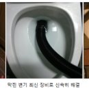 원주수도119 이미지