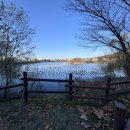 서호공원 | 수원 서호공원 러닝 | 후기·장단점·주차