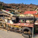 두나펫 코리아 이미지