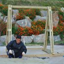 여우골농장 이미지