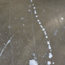 서양화 기초 이미지