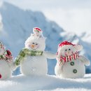 숲으로 가는 어린이집 이미지