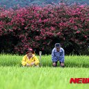 평온 뉴시스