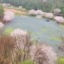 해평호주차장 이미지