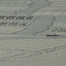 달빛자락 이미지