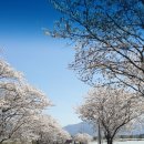 동화택시 이미지