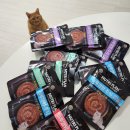 주식 | 고양이습식추천 뉴트리플랜 하루영양주식 사료 후기!