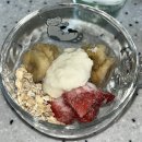 농은목장 | <그릭요거트 만들기> 베어그릭스 솔직후기-내돈내산