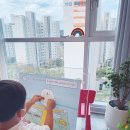 모모플