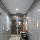 뽀삐애견샵 | [안양] 루체인알티스 🐕 루프탑 운동장이 있는 안양애견카페