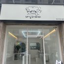 바닐라 퍼피 이미지