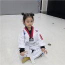 경희대석사충효태권도 | 아이 성장 더 깊이 들여다보기, 경희대석사충효태권도에서 경험하는 진짜 태권도 이야기