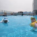 어반스테이 낙산해변 이미지