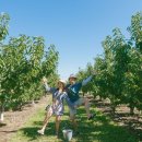 유픽(U-PICK) 이미지