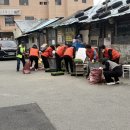 새마을문고센터 | 【범일5동 HAHA 마을건강센터】🌸 4월 「깨끗한 우리...꽃길지킴이 활동 후기 🌼🌧️ 다음날 비 온 뒤, 더...