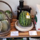 한진청과 이미지