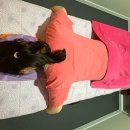 조은타워 | 속초스포츠마사지 잘하는 청초호 근처 24시간 운영 속초마사지 조은바디&amp;풋샵