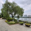 호수공원 10로 이미지