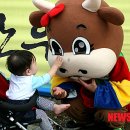 한우야한우야 이미지