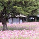 항몽유적지 이미지